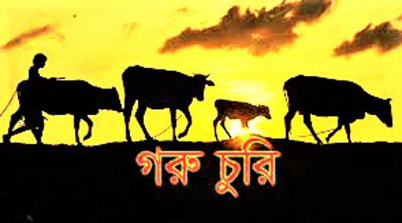 পুলিশের গোয়ালঘর থেকে ৩টি গরু চোরি