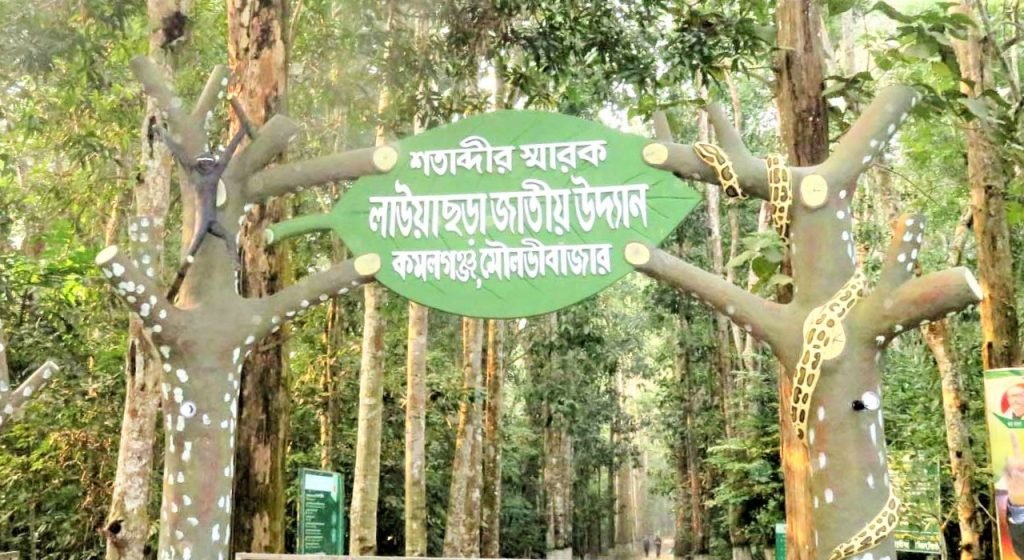  গাড়ির চাকায় পিষ্ট হয়ে বানর ও সাপের মৃত্যু
