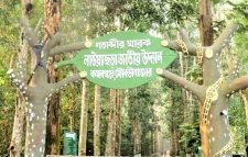  গাড়ির চাকায় পিষ্ট হয়ে বানর ও সাপের মৃত্যু