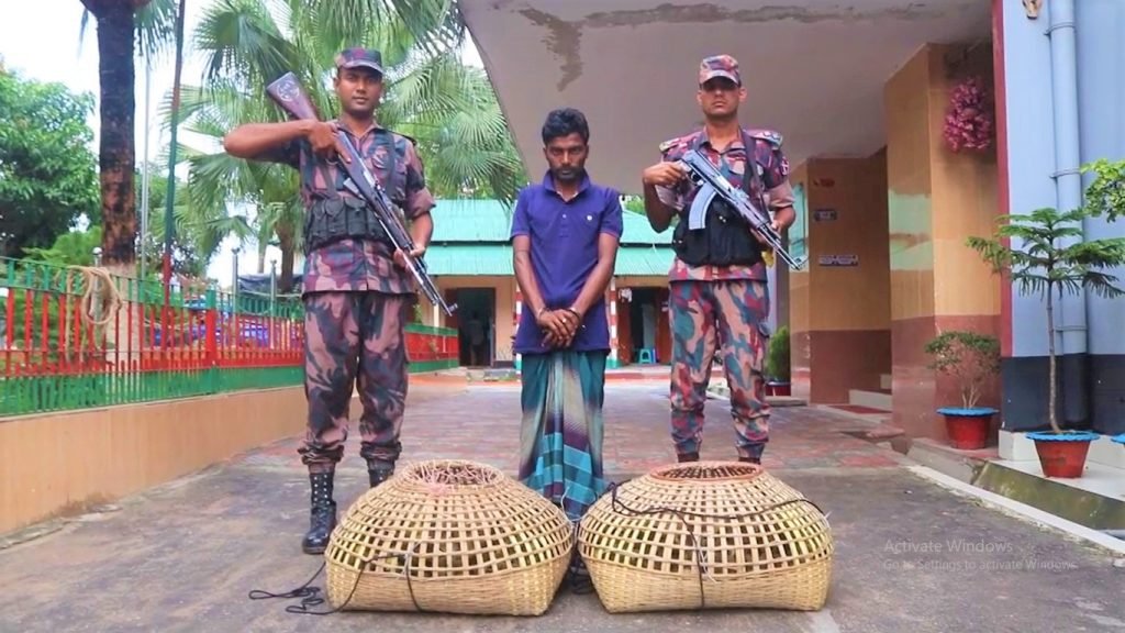  সিন্দুরখান সীমান্ত দিয়ে ভারত থেকে  হাসের ছানা ও মদসহ একজনকে আটক 