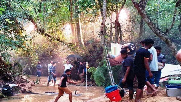 লাউয়াছড়া বনে আগুন জ্বালিয়ে বিজ্ঞাপনের শুটিং!