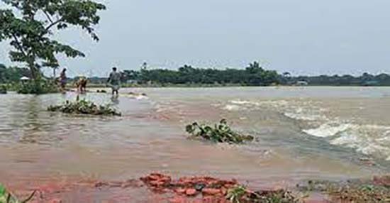 বন্যায় সিলেটে কৃষিখাতেই ক্ষতি ৩৪ কোটি টাকা