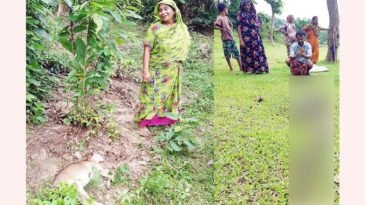 ছাগলের পক্ষ নিল কুকুর : অজগরের মৃত্যু