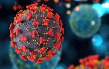 করোনা শনাক্তের সংখ্যা ও হার বাড়ছে