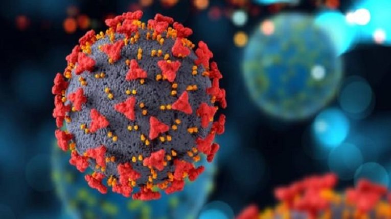 করোনা শনাক্তের সংখ্যা ও হার বাড়ছে