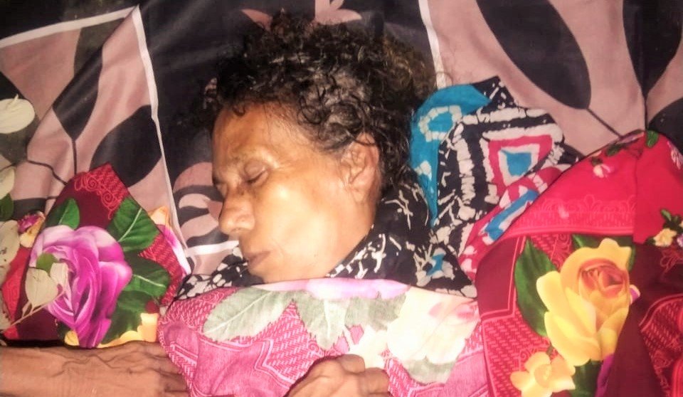 সাপের কামড়ে এক নারীর মৃত্যু, পরিবারের দাবী চিকিৎসা অবহেলা