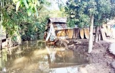 সিলেটে বন্যায় ক্ষতিগ্রস্ত ৪০ হাজার বাড়িঘর