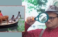 হারানো গরুর খোঁজে ডা. এজাজ!