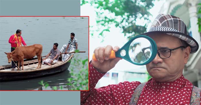 হারানো গরুর খোঁজে ডা. এজাজ!