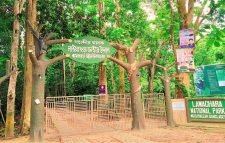 ঈদুল আযহার টানা ছুটিতে পর্যটকদের বরণে প্রস্তুত কমলগঞ্জের পর্যটন কেন্দ্র সমুহ