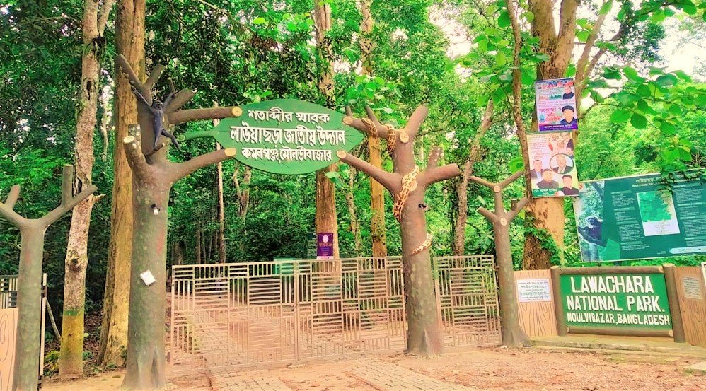 ঈদুল আযহার টানা ছুটিতে পর্যটকদের বরণে প্রস্তুত কমলগঞ্জের পর্যটন কেন্দ্র সমুহ