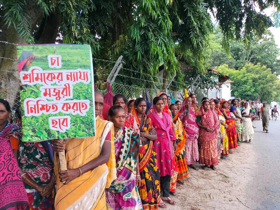 শনিবার থেকে সারা দেশের চা-বাগানে অনির্দিষ্টকালের ধর্মঘট