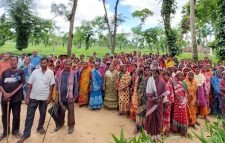 ‘কোনোদিন ইলিশ খাইনি, পাঙাশই আমাদের জাতীয় মাছ’