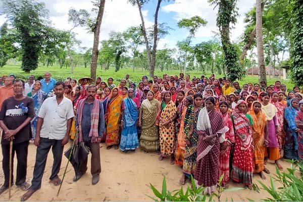 ‘কোনোদিন ইলিশ খাইনি, পাঙাশই আমাদের জাতীয় মাছ’