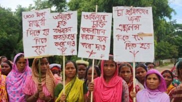 ১৭০ টাকায় ‘খুশি নন’ চা-শ্রমিকরা