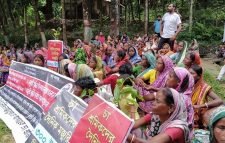 শেখ হাসিনার ভিডিও বার্তা চান চা-শ্রমিকরা