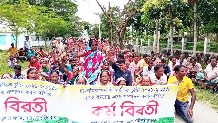 মজুরি বাড়ানোর দাবিতে ৯২ চা-বাগানে কর্মবিরতি