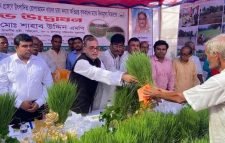 এক ইঞ্চি জমিও অনাবাদি রাখা যাবে না: পরিবেশমন্ত্রী