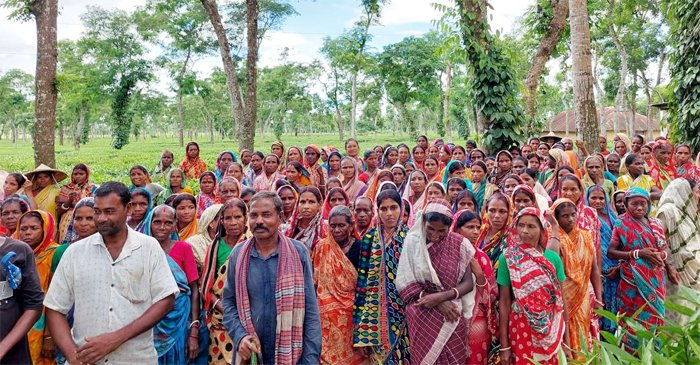 অনির্দিষ্টকালের কর্মবিরতিতে চা শ্রমিকরা
