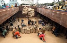 রাশিয়া থেকে ৫ লাখ টন গম আমদানি করবে বাংলাদেশ