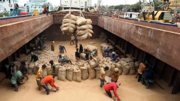 রাশিয়া থেকে ৫ লাখ টন গম আমদানি করবে বাংলাদেশ