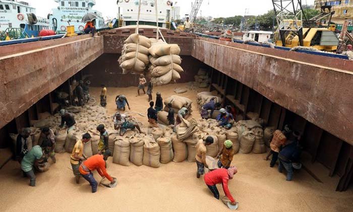 রাশিয়া থেকে ৫ লাখ টন গম আমদানি করবে বাংলাদেশ