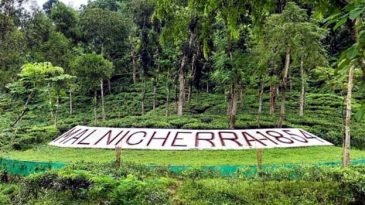 সিলেট অঞ্চলের ১৩৫ টি চা বাগানের মালিক যারা