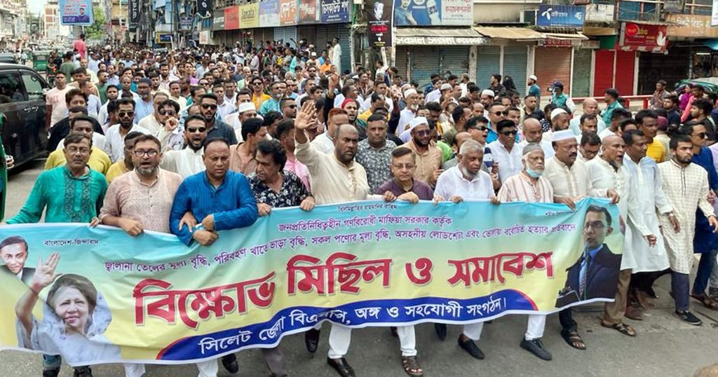 দেশের সংকট নিরসনে আওয়ামীলীগের পদত্যাগের বিকল্প নেই ।