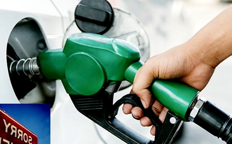 কমল পেট্রল ডিজেল ও অকটেনের দাম