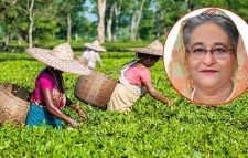 প্রধানমন্ত্রীর সঙ্গে চা শ্রমিকদের ভিডিও কনফারেন্স কাল