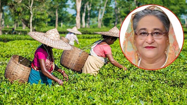 প্রধানমন্ত্রীর সঙ্গে চা শ্রমিকদের ভিডিও কনফারেন্স কাল