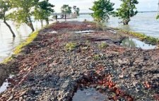 সিলেটে বন্যায় ক্ষতিগ্রস্ত সড়ক মেরামতে ৬৩৫ কোটি টাকার প্রকল্প অনুমোদন