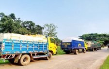 চাতলাপুর শুল্ক স্টেশন দিয়ে এক সপ্তাহে ভারতে গেল ১১ হাজার ৭২৫ কেজি ইলিশ