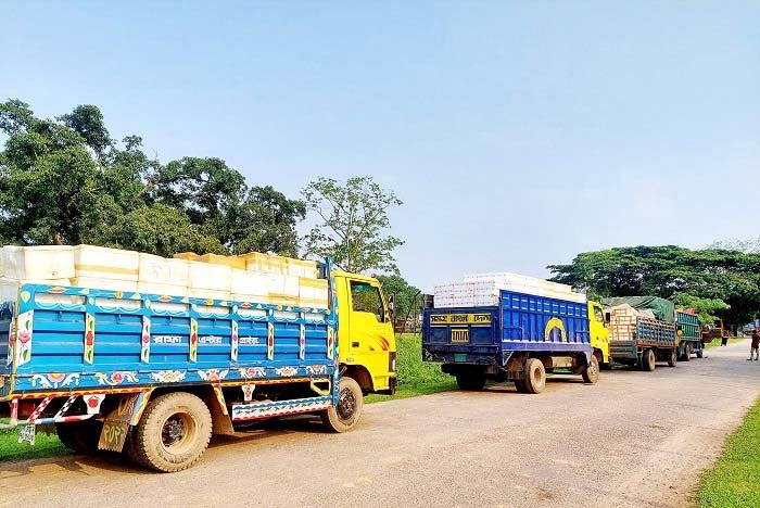 চাতলাপুর শুল্ক স্টেশন দিয়ে এক সপ্তাহে ভারতে গেল ১১ হাজার ৭২৫ কেজি ইলিশ
