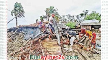 সিত্রাংয়ে ক্ষতিগ্রস্ত ১০ হাজার ঘরবাড়ি, ৬ হাজার হেক্টর জমির ফসল