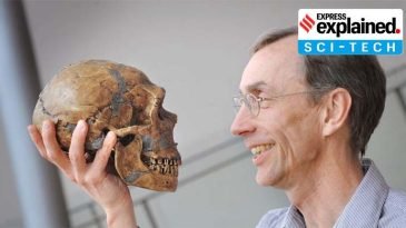 মানব বিবর্তনের গবেষণায় নোবেল পেলেন সোয়ান্তে প্যাবো