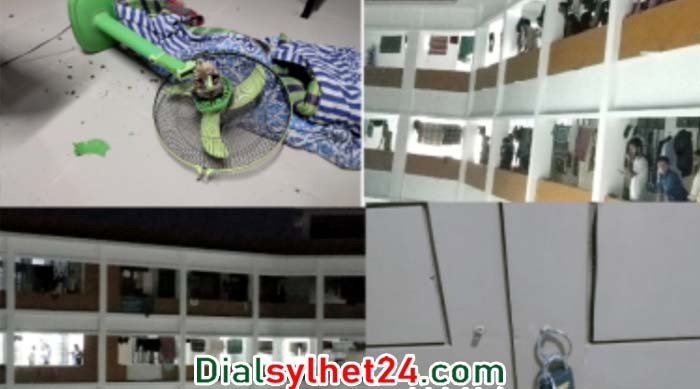 গোসল করতে গিয়ে শাবি ছাত্রলীগের দুই গ্রুপে হাতাহাতি