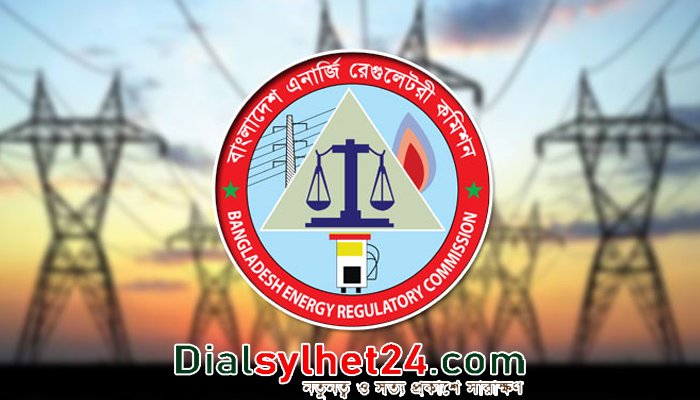 গ্রাহক পর্যায়ে বিদ্যুতের দাম এখনই বাড়ছে না