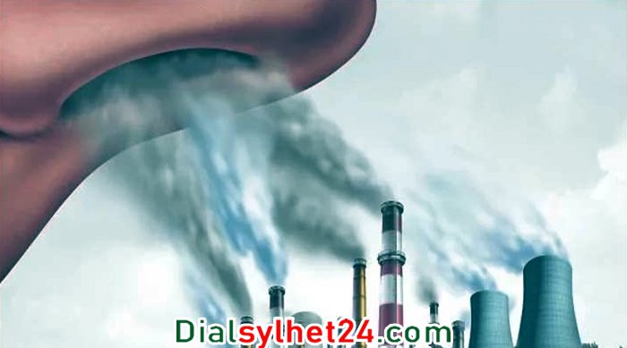 প্রতি বছর বিশ্বে ৬৭ লাখ মানুষের মৃত্যু হয় বায়ু দূষণে : গবেষণা