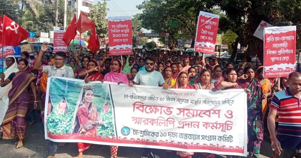 বর্ধিত মজুরির বকেয়ার দাবিতে চা-বাগানে ফের ক্ষোভ