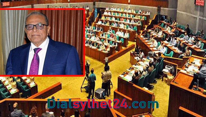 জাতীয় জীবনের গুরুত্বপূর্ণ সন্ধিক্ষণ অতিক্রম করছি: রাষ্ট্রপতি