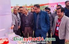 মেট্রোপলিটন ইউনিভার্সিটিতে পিঠা উৎসব সম্পন্ন