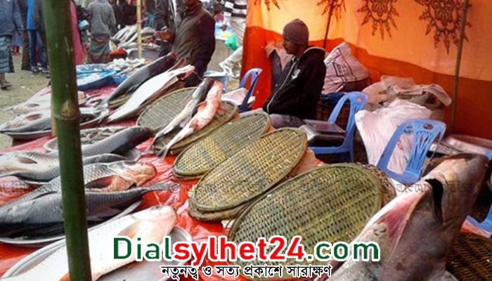 মৌলভীবাজারে চলছে ঐতিহ্যবাহী ‘মাছের মেলা’