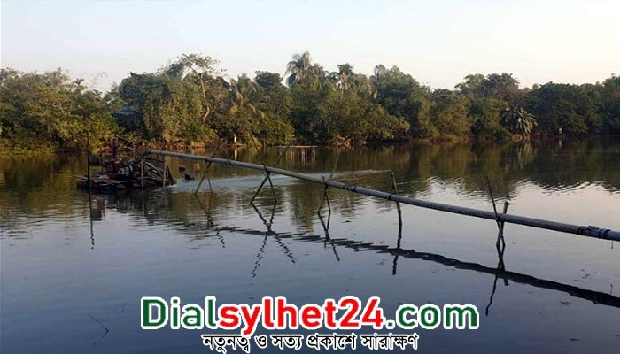 লাখাইয়ে ফিশারির আড়ালে চলছে বালু লুটপাট