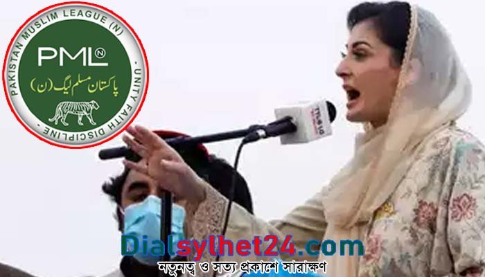 পিএমএলএনের সিনিয়র ভাইস প্রেসিডেন্ট হলেন মরিয়ম