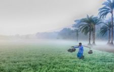 শৈত্যপ্রবাহের কবলে ২৩ জেলা, তাপমাত্রা নেমেছে ৭.৮ ডিগ্রিতে