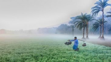 শৈত্যপ্রবাহের কবলে ২৩ জেলা, তাপমাত্রা নেমেছে ৭.৮ ডিগ্রিতে