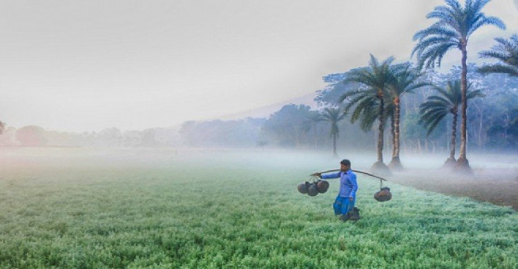 শৈত্যপ্রবাহের কবলে ২৩ জেলা, তাপমাত্রা নেমেছে ৭.৮ ডিগ্রিতে