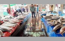 কমলগঞ্জ  পৌষ সংক্রান্তি উৎসব মাছের মেলা