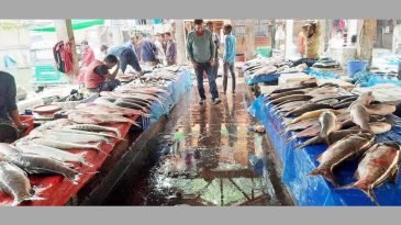 কমলগঞ্জ  পৌষ সংক্রান্তি উৎসব মাছের মেলা